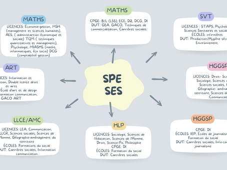 Pourquoi choisir la spécialité SES et que faire après le bac avec la SPÉ SES ?