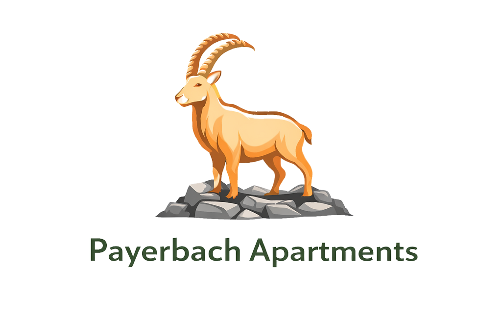 Payerbach-Logo-neu_edited.png