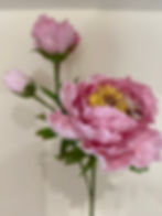 peony2