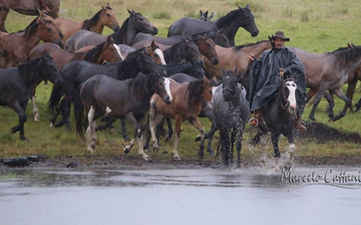 Marcelo Cattani, Fotógrafo 