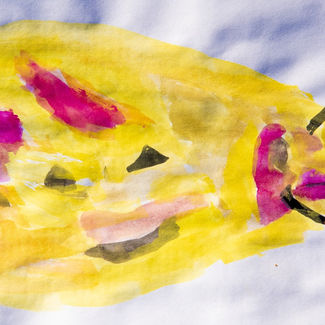 מַגְנִיבִים © רן גרין