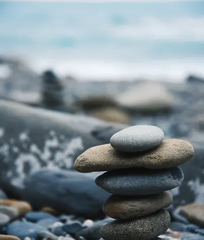 מְבֻלְבָּל מְגַ'נְגֵל / רן גרין ®