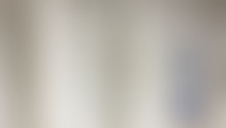 The Bulletin Newsletter: February 2026