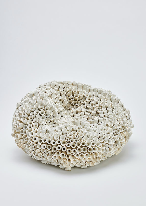 Seaworld | Ceramics
