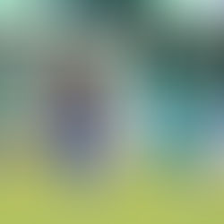 Rogério Zimmermann elogia atuação do Caxias no Ca-Ju: "segura, com muita personalidade"