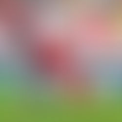 Caxias sofre gol no fim, perde para o Inter e sai do G4