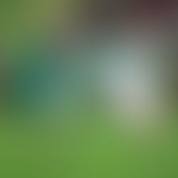 Sub-17! Juventude se classifica para as quartas de final do Gauchão