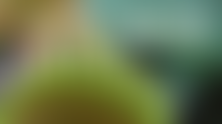 Marketing superficial: ¿Por qué basar tu estrategia en memes es un error?