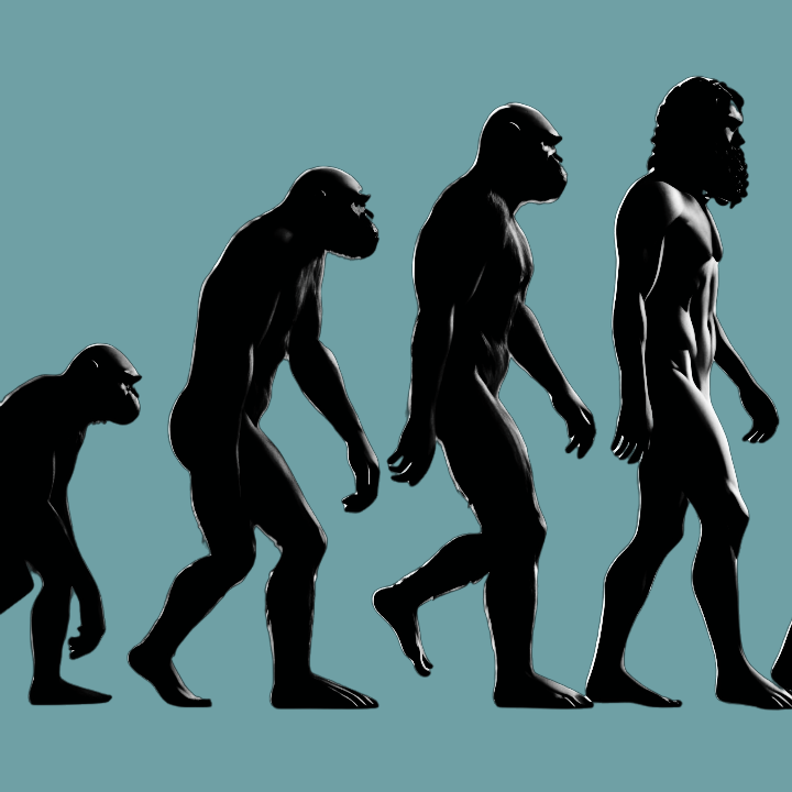 Diagrama de evolución del ser humano
