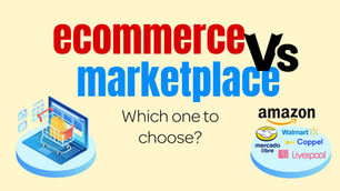 Ecommerce vs Marketplace. Which one to choose?