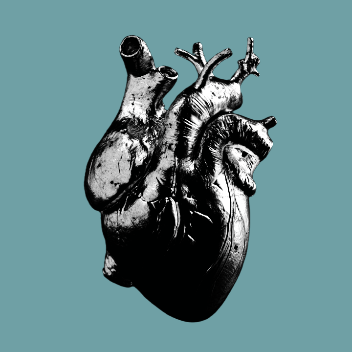 Corazón humano hecho de plata, a color blanco y negro.