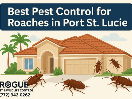 🪳 Best Pest Control for Roaches in Port St. Lucie