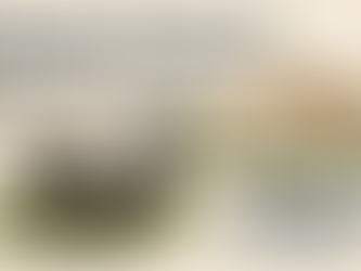 🐍 Snake Removal in Port St. Lucie: What Homeowners Should Know