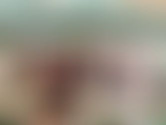 活動報告⑧和会について