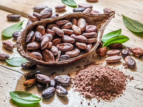 Cocoa powder and cocao beans on the wooden table..jpg