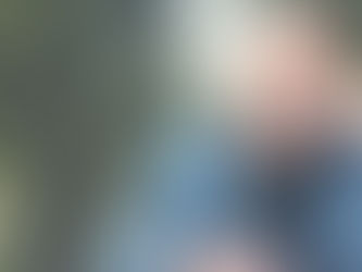 Bir Yazarın Anatomisi