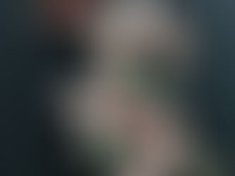 YENİ  YILDA  ARAYIŞ