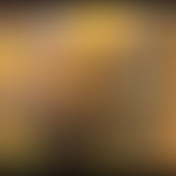 Aşkın Yasaklı Tarihi