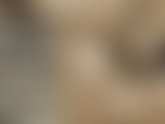 Kartal ve Leyleklerin Kanlı Savaşı