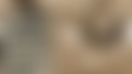 Kartal ve Leyleklerin Kanlı Savaşı