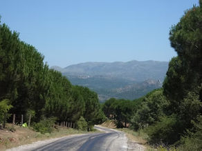 Kozak Yaylası