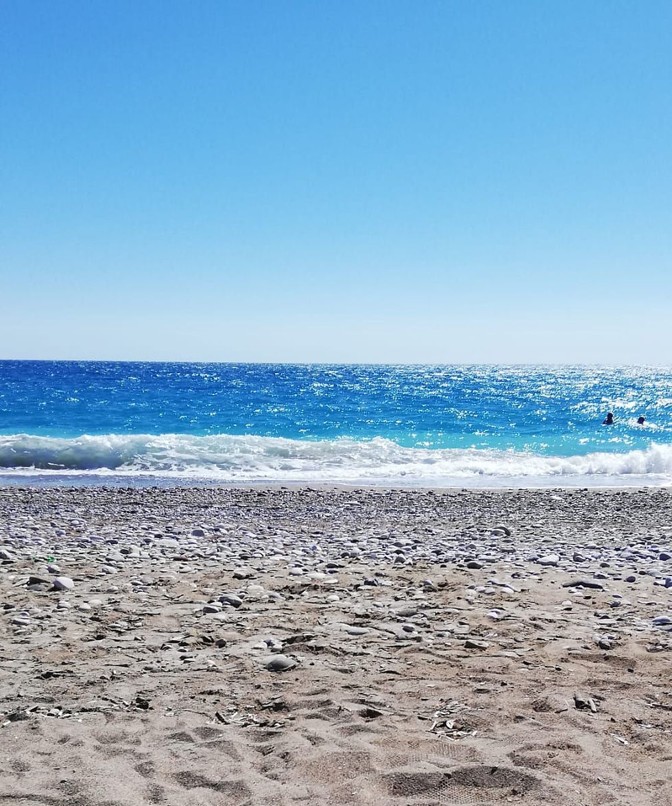 Camların  Gölgesinde