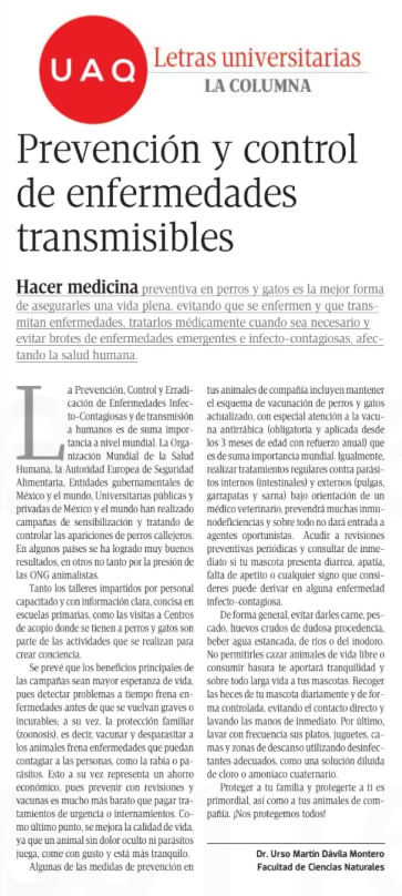 Lunes 19 octubre. Letras universitarias