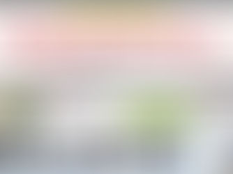 Lunes 05 de agosto. El Sol de SJR