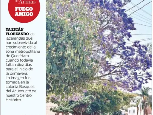 Miércoles 11 Marzo. Plaza de Armas