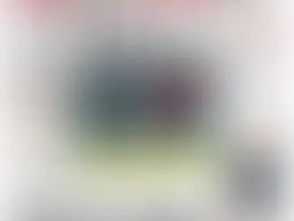 Lunes 11 mayo. Diario de Querétaro