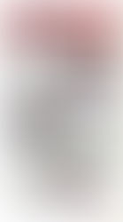 Lunes 01 de julio. Plaza de Armas