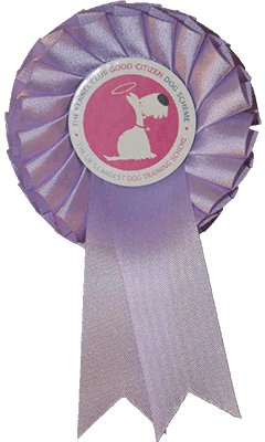 Solway Dog Training Club - GCDS Puppy Award Rosette