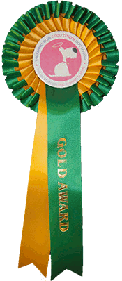 Solway Dog Training Club - GCDS Gold Award Rosette