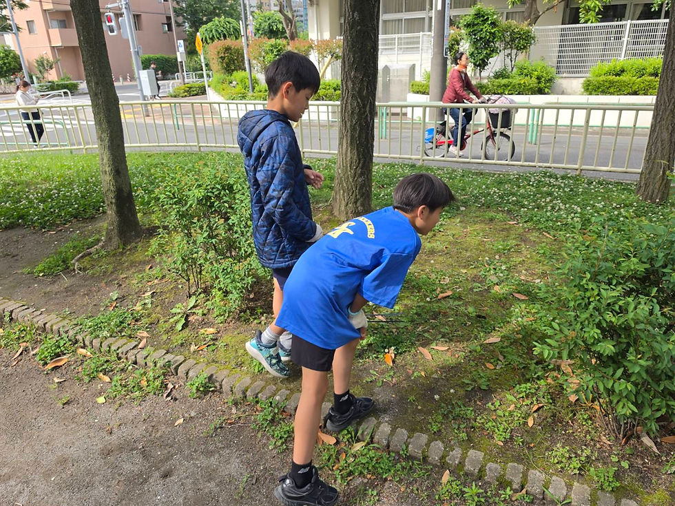 街キレ　春の一斉清掃