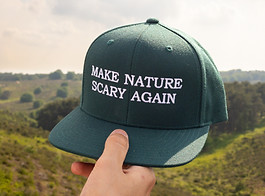 Make Nature Scary Again audio based walking tour at the Veluwe, The Netherlands. 2021 art Eef Veldkamp