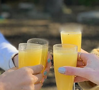 af734f3f-fa4a-4651-b6c2-83e984c33b4b_outdoor-yoga-and-mimosas-in-austin-medium.jpg