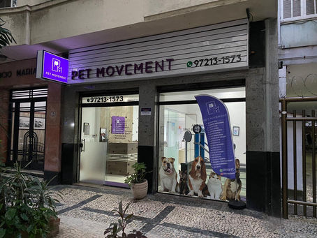 Veterinário Fisioterapeuta: Quando Procurar e Quais os Primeiros Passos?