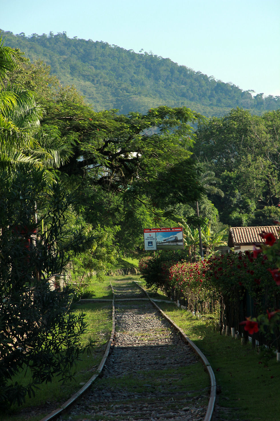 1.2 Miguel PereiraMP01 Cris Amorim.jpg