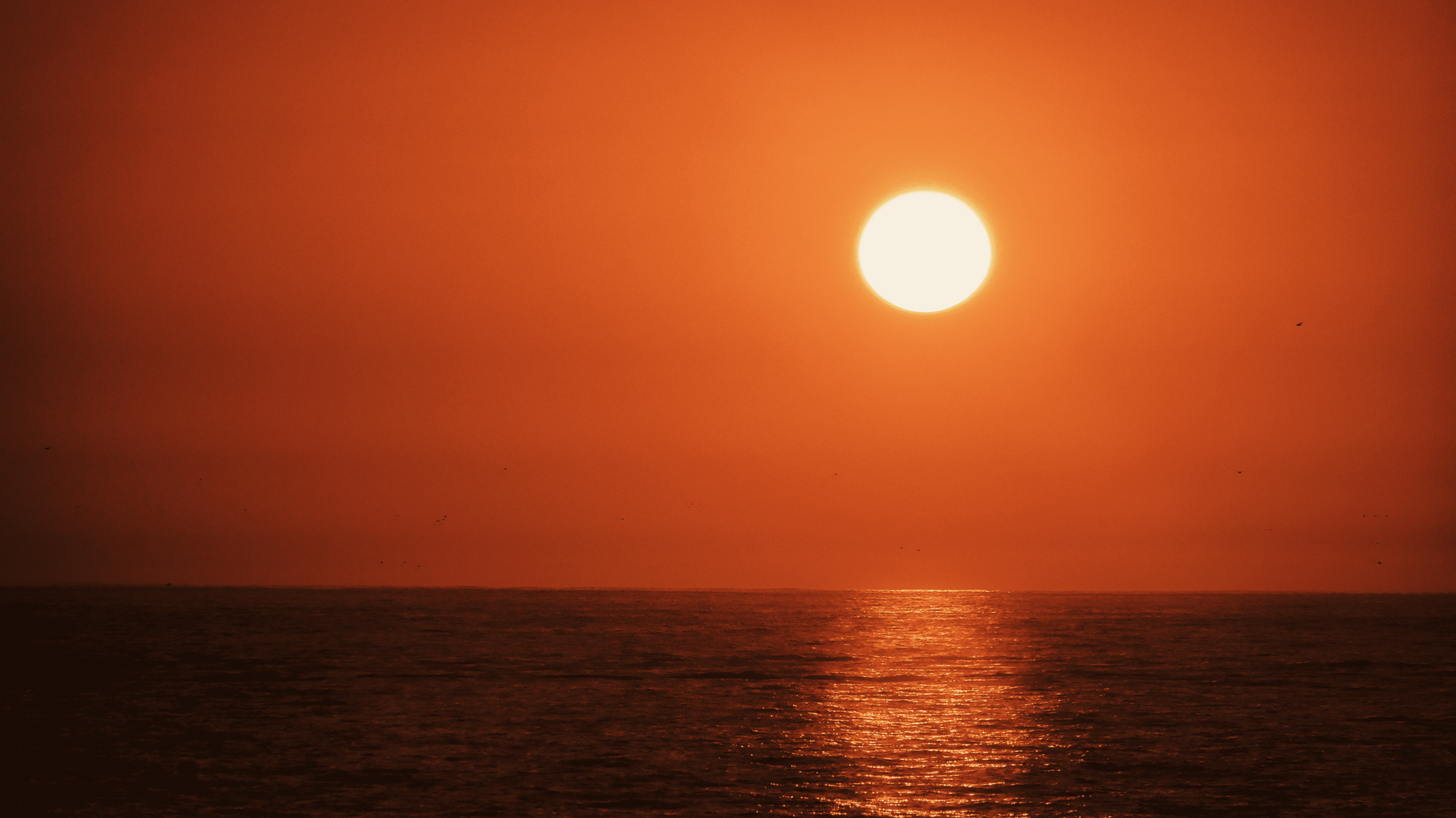 Pôr do Sol Nazaré
