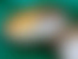IMPLANTE DE OURO PARA ALÍVIO DE DORES EM SEU CACHORRO OU GATO