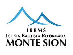 Logo IBRMS.jpg