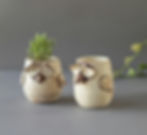 set os 2 cute bird-shape planters