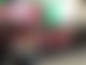 Indonesia Satu; Kumandangkan Sholawat di Ponpes Nurul Karomah