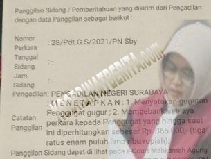 Putusan Hakim & Salah Input Relass atas Gugatan Alfian dengan Tergugat, Patut di Pertanyakan?