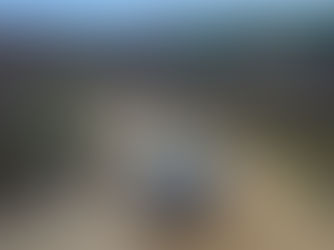 Pembangunan Ibu Kota Baru Tahap I Disebut Telan Anggaran Rp 510 Miliar