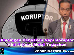 Guncingan Bebaskan Napi Koruptor, Kini Jokowi Mulai Tegaskan