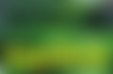 Pengadilan USA Federal Beri Ijin Tayang Film Innocence of muslim di Google & Youtobe