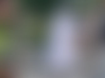 Ini Penjelasan Polda Jatim Soal Video Viral Pria Bergamis Terlibat Adu Fisik Dengan Petugas Cek Poin