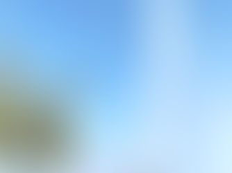 Keajaiban Sawah Milik Mujianto Warga Ngawi Keluarkan Semburan Air Bercampur Lumpur Setinggi 150 Met