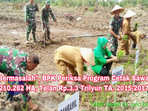 “Bermasalah“ BPK Periksa Program Cetak Sawah 210.262 HA yang Telan Rp.3.3 Trilyun